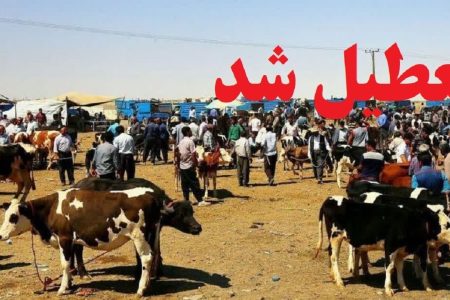 تعطیلی موقت میادین دام آذربایجان غربی برای مهار تب‌برفکی