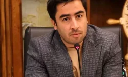 دستیار رئیس کل بانک مرکزی در امور ارزی منصوب شد