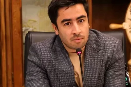 دستیار رئیس کل بانک مرکزی در امور ارزی منصوب شد