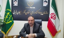 اختصاص ۴۰۶ هزار هکتار به کشت گندم در آذربایجان غربی