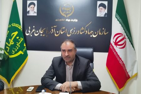 اختصاص ۴۰۶ هزار هکتار به کشت گندم در آذربایجان غربی