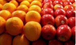 ۲۸۴ تن سیب و پرتقال تنظیم بازاری در آذربایحان غربی توزیع شد