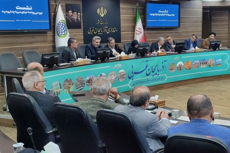 مشکلات زیست‌محیطی استان فراتر از دریاچه ارومیه است/نیازمند بودجه ملی و مدیریت جامع هستیم