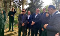 تاکید رییس سازمان محیط زیست بر حمایت از برنامه های صیانت و تکثیر گوزن زرد ایرانی