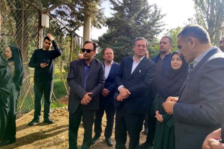 تاکید رییس سازمان محیط زیست بر حمایت از برنامه های صیانت و تکثیر گوزن زرد ایرانی