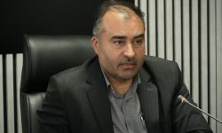 رکورد توزیع گوشت مرغ گرم در آذربایجان‌غربی شکسته شد: ۱۲۰۰ تن در دو روز به بازار عرضه شد