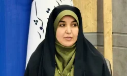 وتوی قطعنامه ضدایرانی، پایان یکجانبه‌گرایی در شورای امنیت بود/تهدید حمله به زیر ساخت های کشور نشانه استیصال آمریکا بود